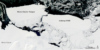 B09B collides with the Mertz Glacier Tongue, causing it to break off and form a new iceberg.
NASA/Goddard/Jeff Schmaltz